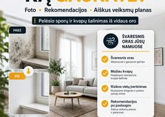 Išvalykite or? nuo pel?sio spor? ||HEPA+UV+ozonas – jokio pel?sio kvapo||Profesionalus pel?sio spor? šalinimas ore||Atsikratykite pel?sio spor? jau šiandien||Trilyp? apsauga: HEPA, UV-C, ozonas